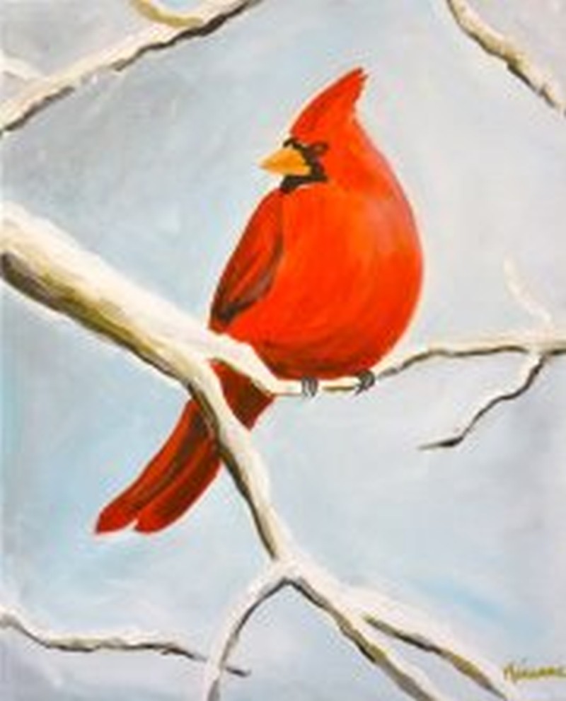 WINTER CARDINAL