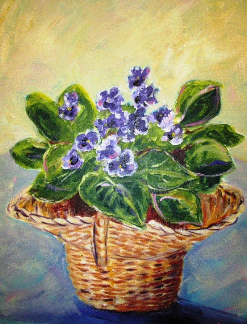 African Violets