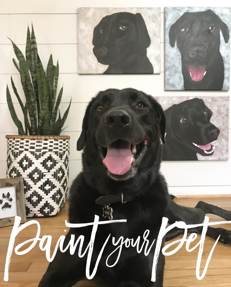 Paint Your Pet New Bern, NC Wine & Design